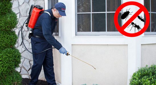 Yenişarbademli Böcek İlaçlama böcek ilaçlama ve haşere kontrolü — ilaclama-tr.com